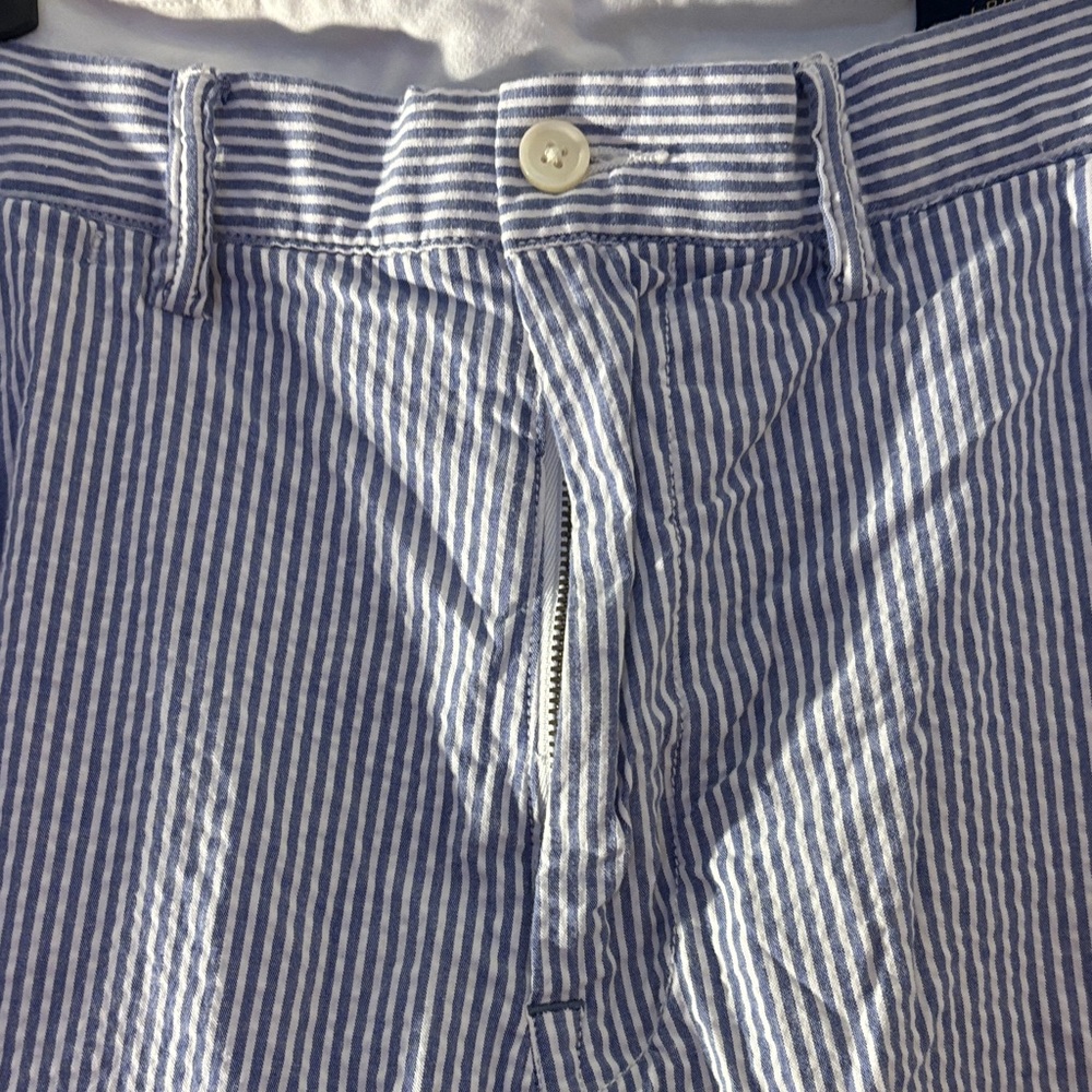 Polo Ralph Lauren Blue and White Striped Men's Shorts - Picture 4 of 16